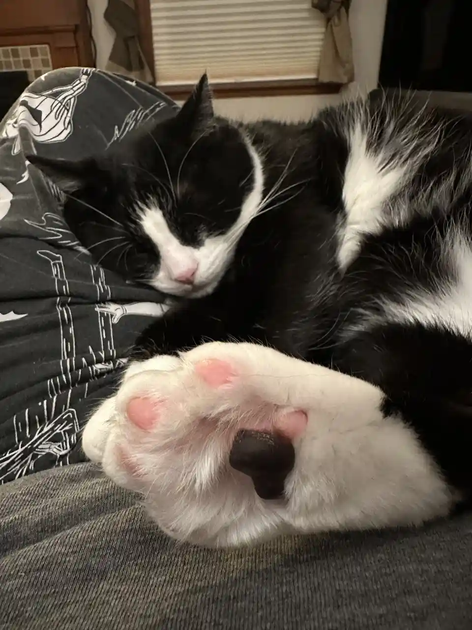 A black and white cat is sleeping soundly on a patterned blanket, its face relaxed with eyes closed, and one paw is…