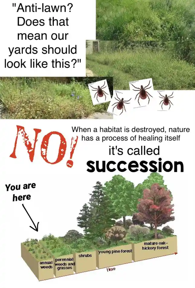 The meme juxtaposes images of overgrown, wild grassy yards with images of ticks, then contrasts them with a diagram of…