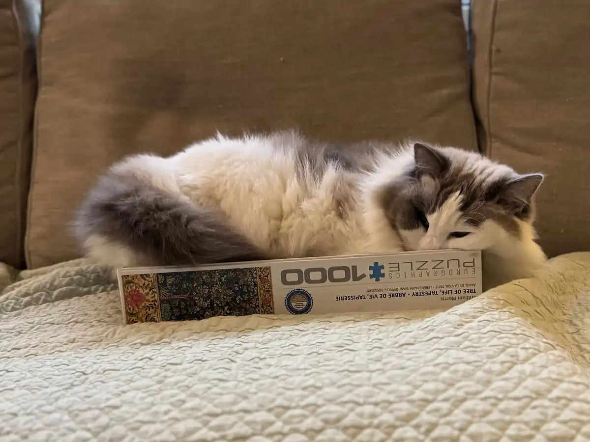 A fluffy gray and white cat is curled up and resting its head on a 1000-piece puzzle box labeled 'Tree of Life' by…