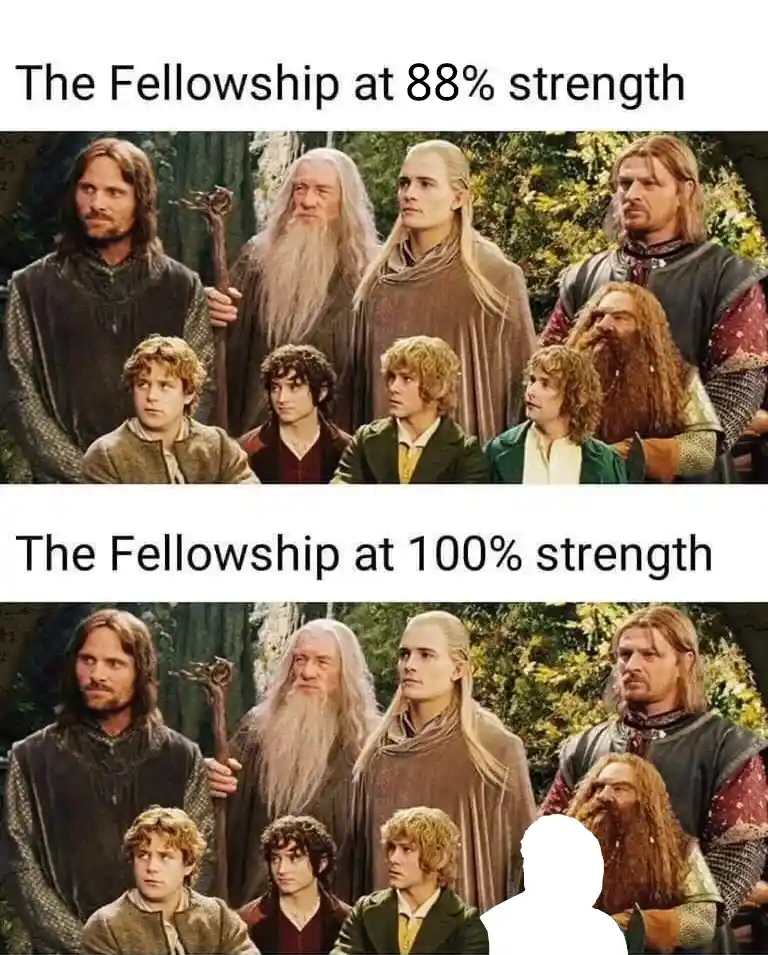 The image displays two panels of the Fellowship of the Ring from Lord of the Rings. The top panel shows all nine members…