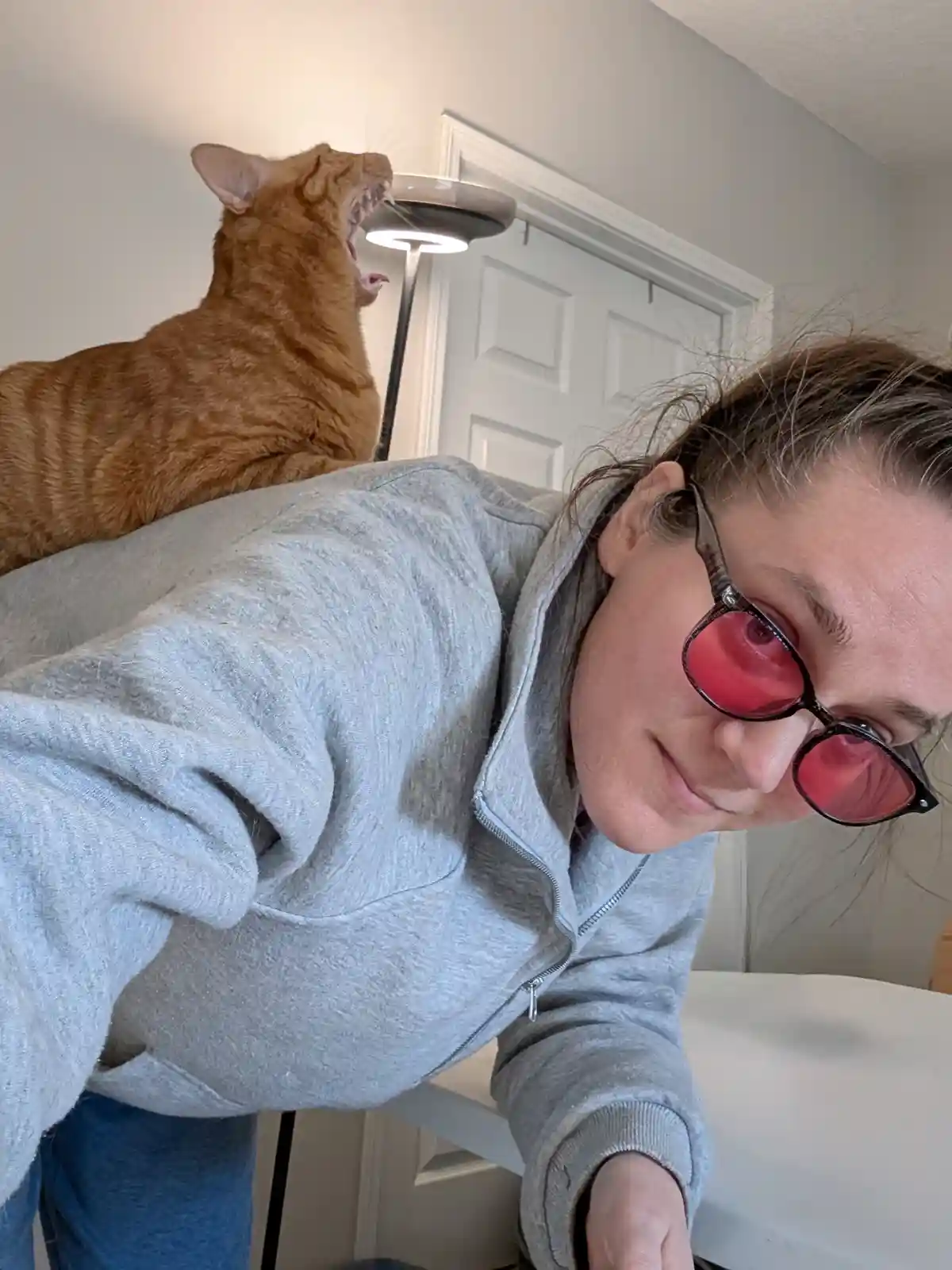 Meowy Catmas! A Selfie with My Feline Friend Frax