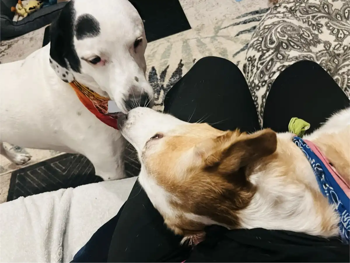 Witnessing a Friendship Blossom Every Single Day!