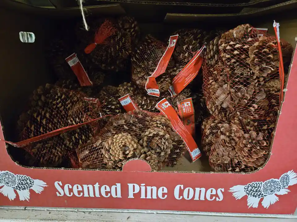 Pinecones, unite for the holiday season!