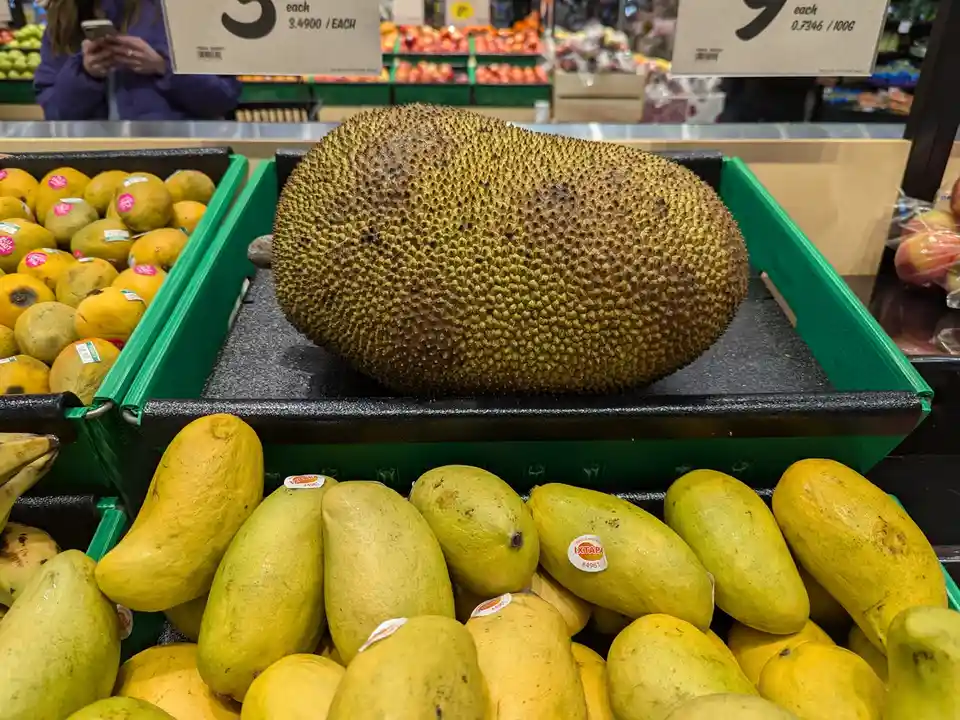 A giant, spiky jackfruit sits prominently in a supermarket produce aisle, surrounded by smaller, smooth yellow mangoes in…