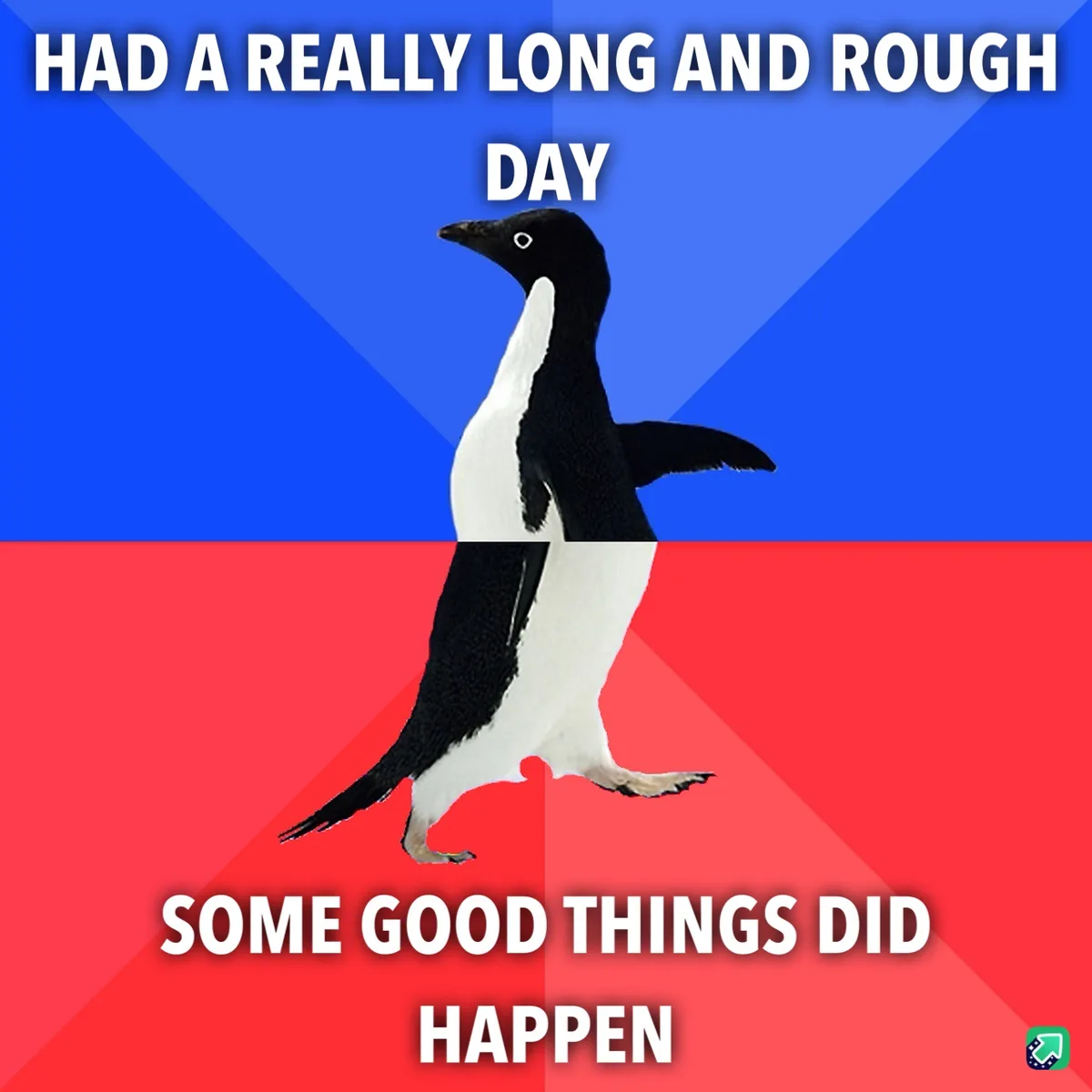 A black-and-white penguin walks across a split background of blue and red. White text at the top reads 'HAD A REALLY LONG…
