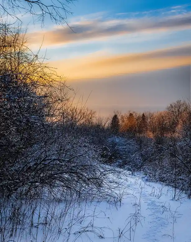 A stunning winter sunset to brighten your day.