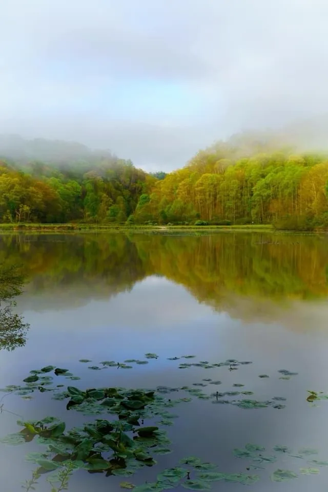 A serene landscape photo shows a calm lake reflecting a misty, forested hillside with autumnal trees. The water's surface is…