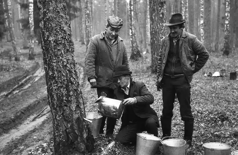 A black-and-white photo shows three men in a forest, one kneeling and pouring liquid from a metal bucket into another bucket…