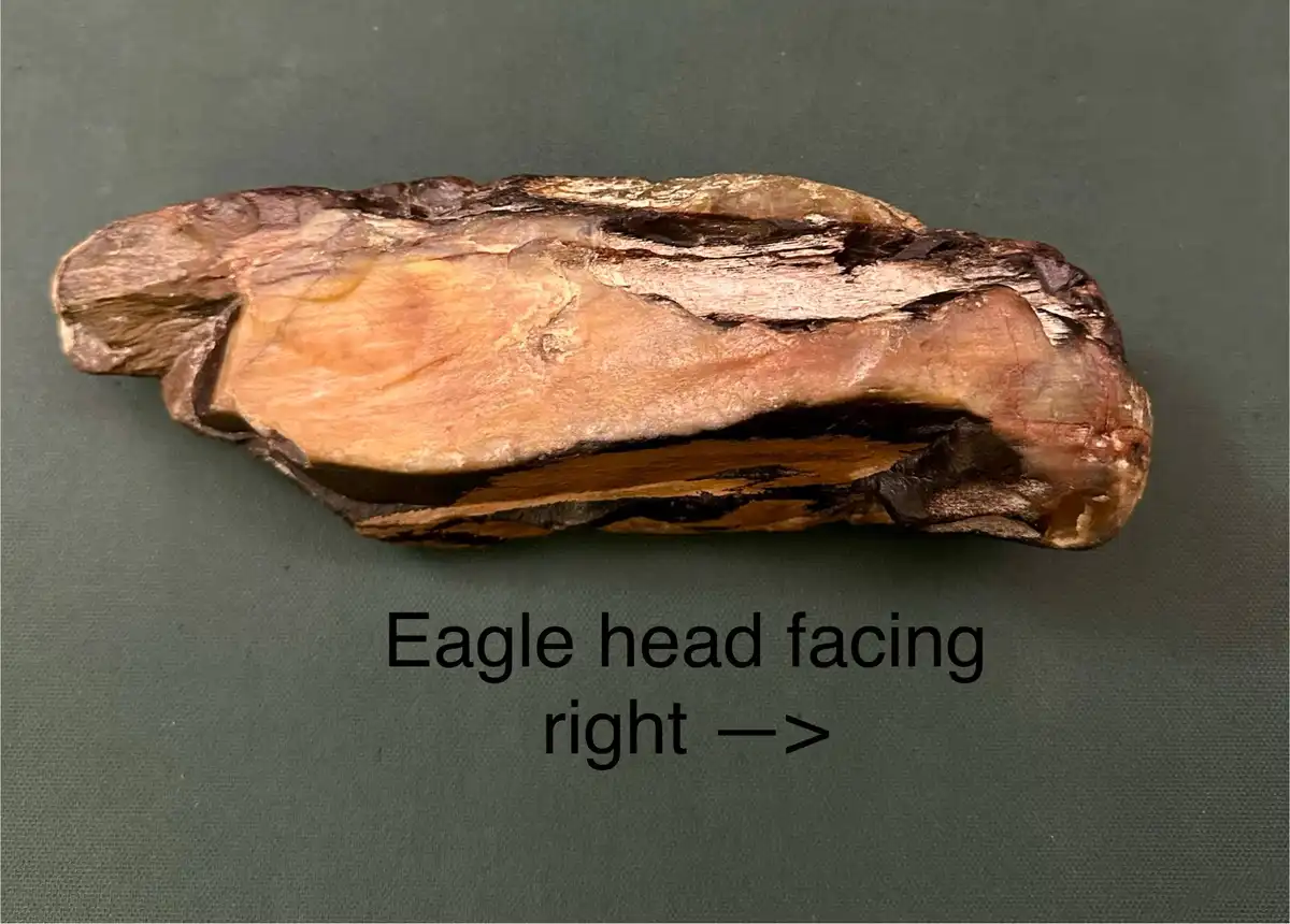 A close-up photo of a piece of wood with natural grain patterns, resembling an eagle's head, lying on a dark green surface…