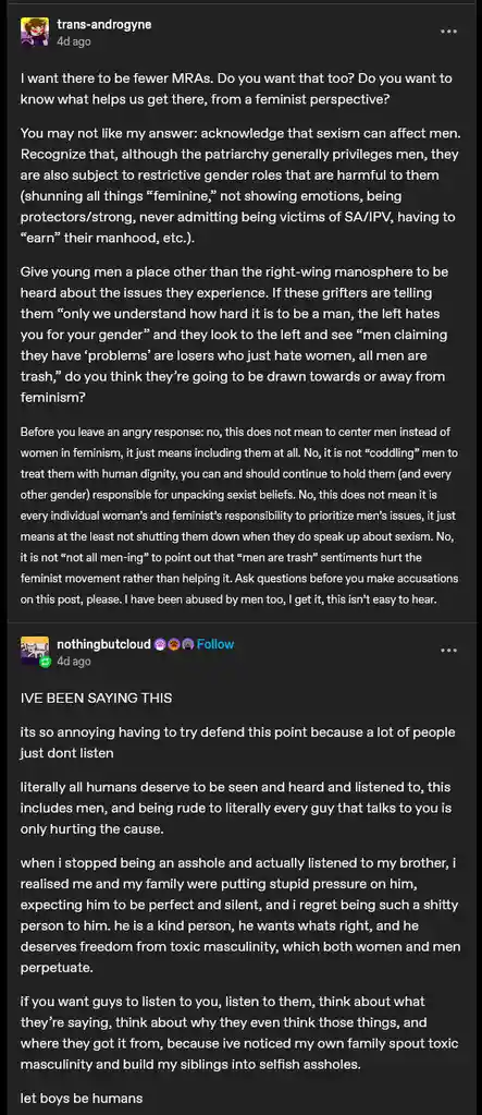 A screenshot of a Reddit thread shows a user named 'trans-androgyne' posting a feminist perspective on men's experiences…