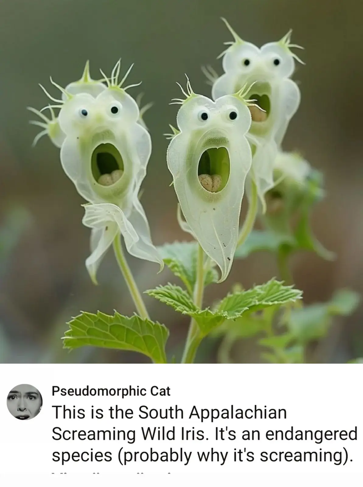 This AI-generated image made me laugh out loud!