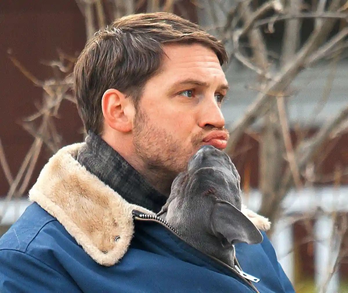 A man with short brown hair and a beard, wearing a blue jacket with a light brown fur collar, holds a small grey dog on his…