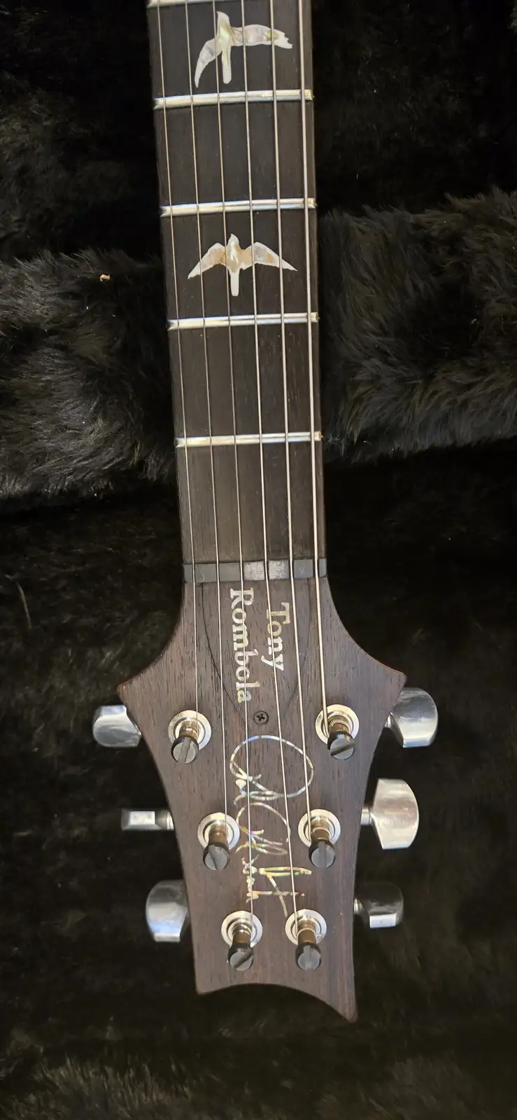 A close-up of a dark wood guitar headstock with silver tuning pegs and pearl inlays shaped like birds on the fretboard…