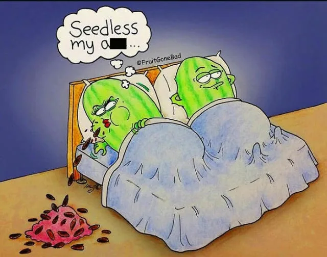 Two anthropomorphic watermelons are in bed under a blue blanket; the one on the left is vomiting seeds onto the floor while…