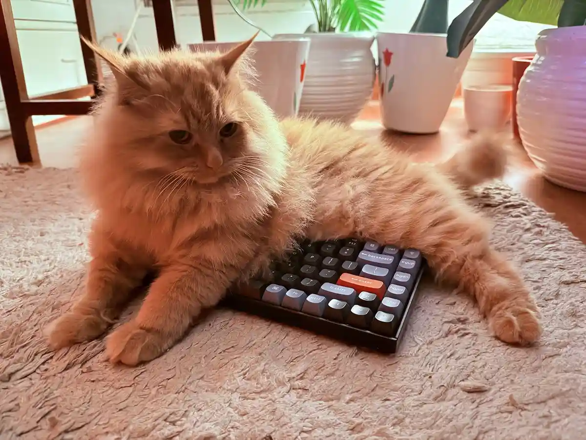 Is This Really My Keyboard? A Surprising Discovery
