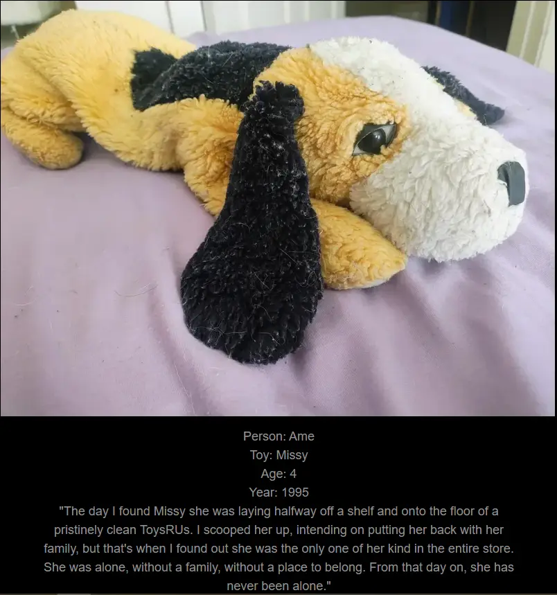 A worn, yellow and black plush dog toy named Missy lies on a lavender bedspread. Overlaid text identifies the toy as…