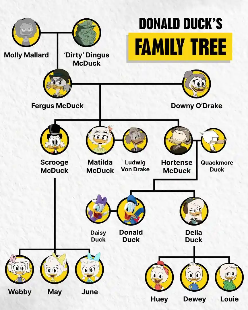 A genealogical chart titled 'DONALD DUCK'S FAMILY TREE' displays cartoon characters from the Disney universe arranged in a…