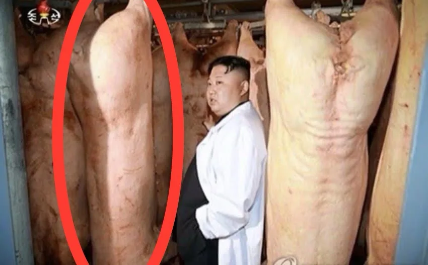 Kim Jong Un Spotted at a Sausage Factory!