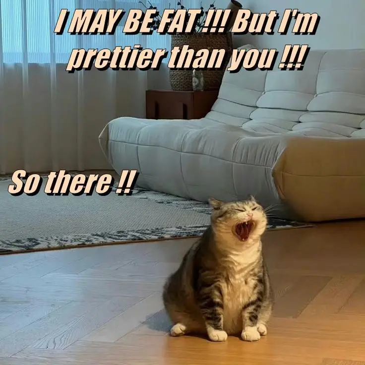 A plump tabby cat sits on a wooden floor in a living room, yawning widely with its mouth open. Behind it is a light-colored…
