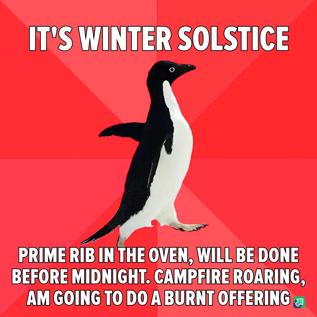 A black-and-white penguin stands against a red background with diagonal stripes. The text at the top reads 'IT'S WINTER…