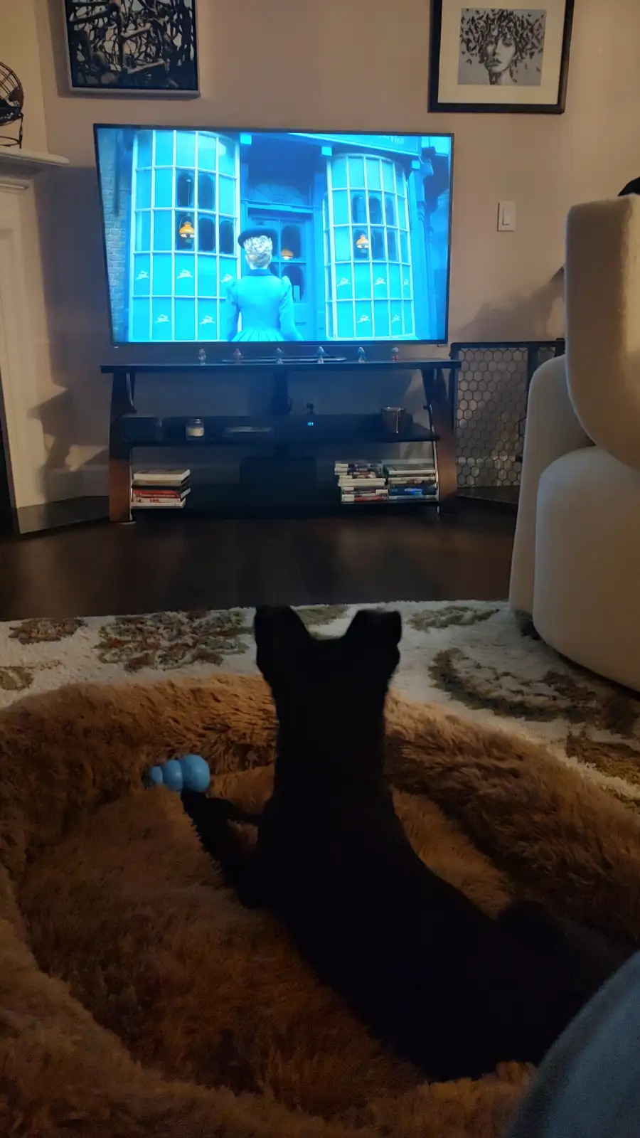 A black dog sits on a fluffy brown rug in a living room, facing a TV that displays a scene from 'The Crown' with a character…