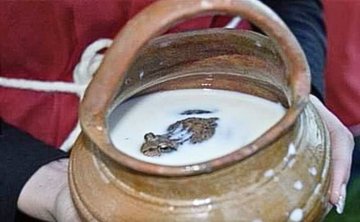 Why Frogs in Milk? There's a Purpose Behind It