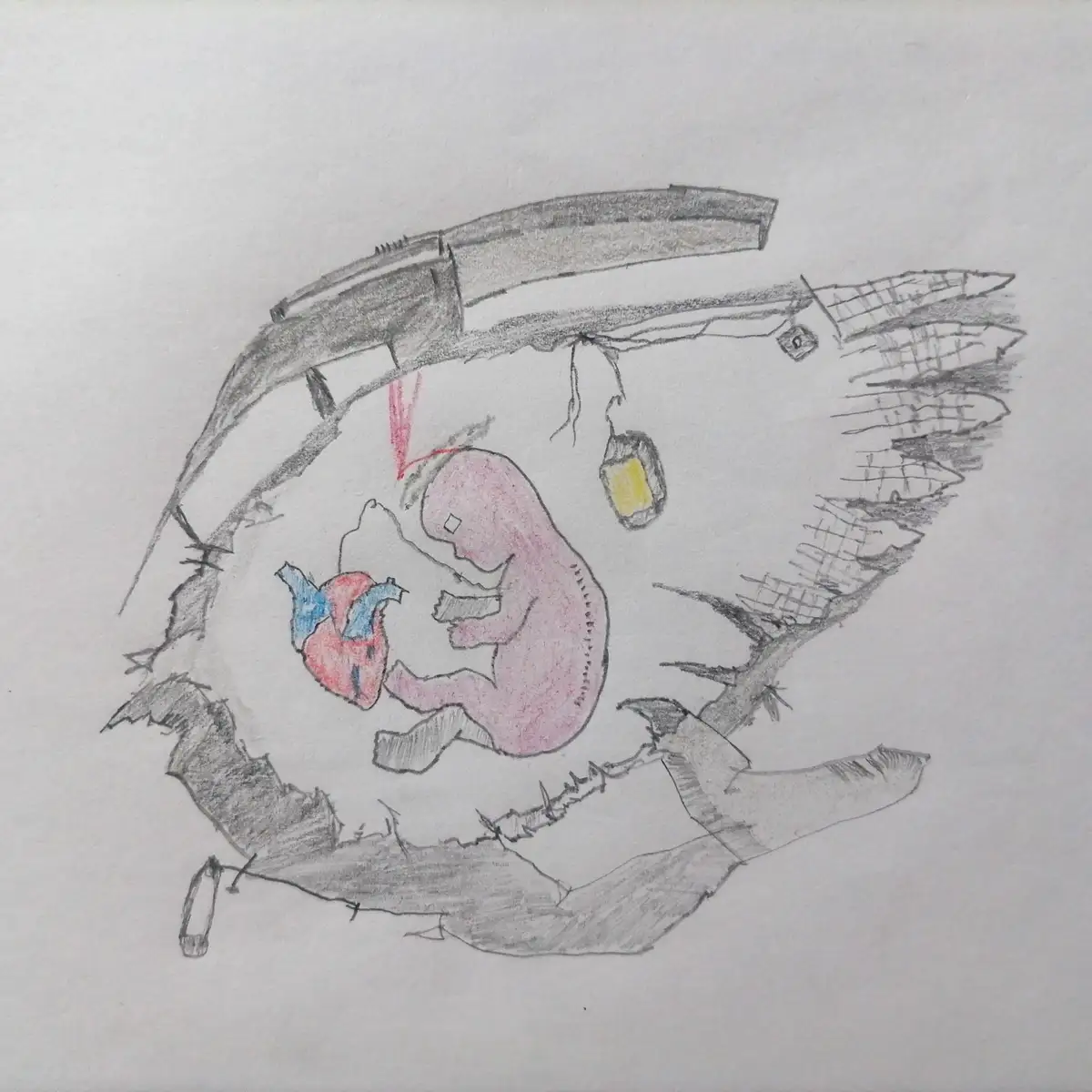 A hand-drawn sketch shows a pink, fetal-like figure inside a broken, womb-like structure with barbed wire. The fetus holds a…