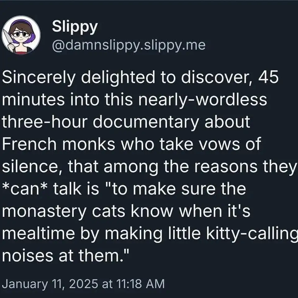 A screenshot of a tweet by user 'Slippy' with a dark background and white text. The tweet humorously recounts discovering…