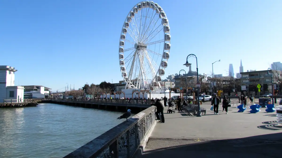 A seagull stands on a railing beside a waterfront promenade with a large white Ferris wheel in the background. People are…