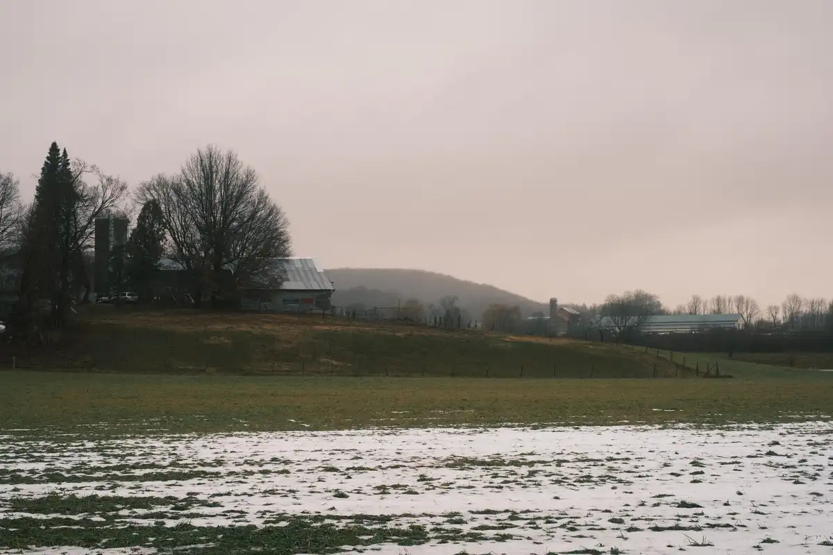 New Year's Eve: The Great Thaw