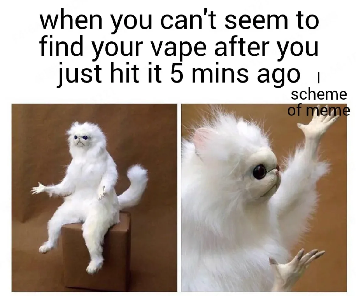 The image shows a split-panel meme featuring a white, fluffy, monkey-like creature with large eyes. In the left panel, it…