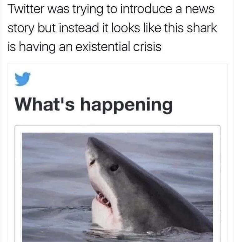 The image shows a screenshot of a Twitter interface with the classic 'What's happening' prompt. Below it, a photo of a great…