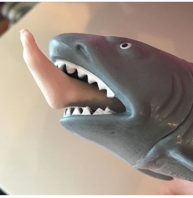 A close-up photo shows a grey plastic shark toy with its mouth open, revealing white teeth, and a human finger is inserted…
