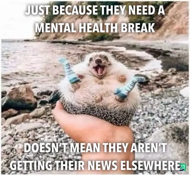 A person holds a hedgehog upside down by its feet, which are wearing tiny blue socks, while the hedgehog has its mouth wide…
