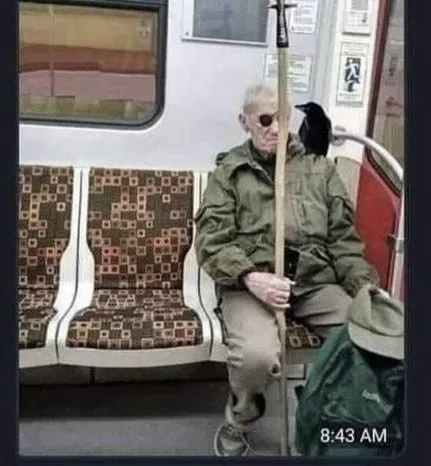 An elderly man with an eyepatch sits on a public transit bench holding a long stick, with a black bird perched on his…
