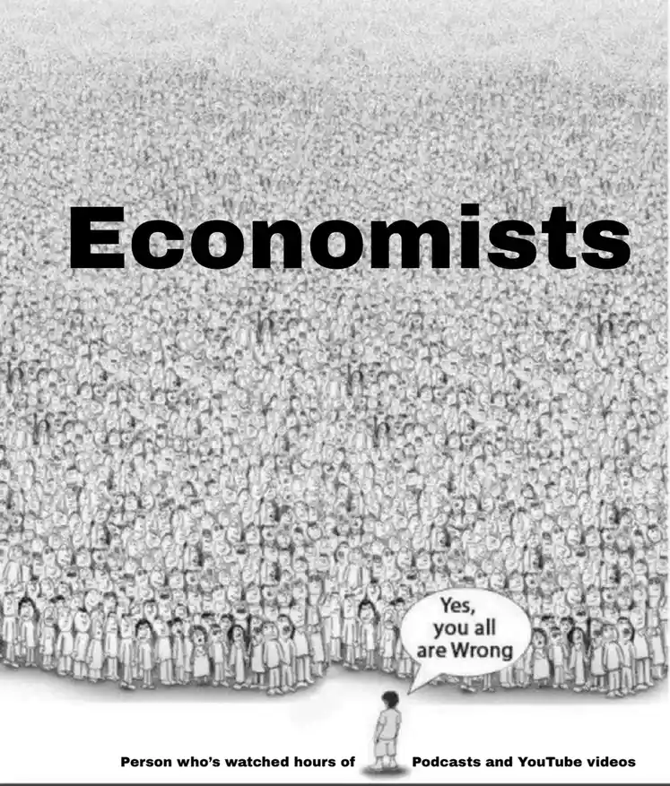 A small person stands before a vast crowd labeled 'Economists', declaring 'Yes, you all are Wrong'. The small person is…