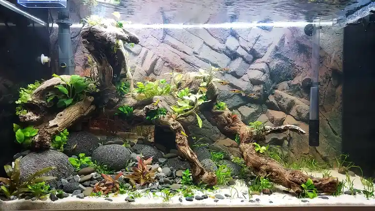 Exciting 125L Update: What's New?