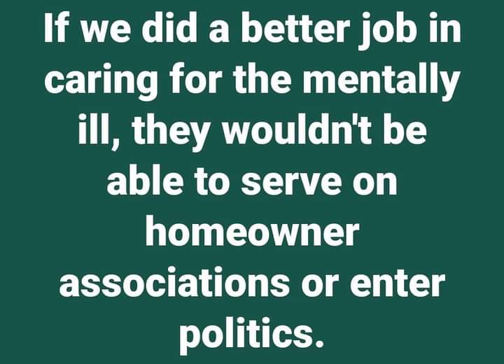 A solid green background with large, white, centered text stating: 'If we did a better job in caring for the mentally ill…