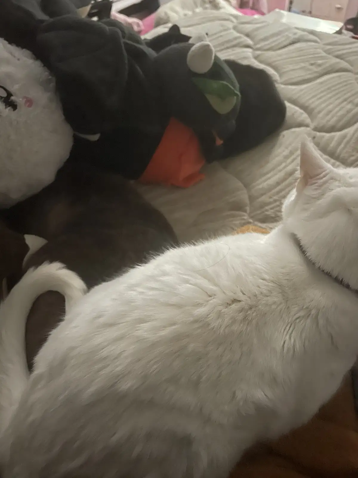 A white cat is lying on a bed next to a pile of stuffed animals, including a black plushie with horns and a green leaf. The…