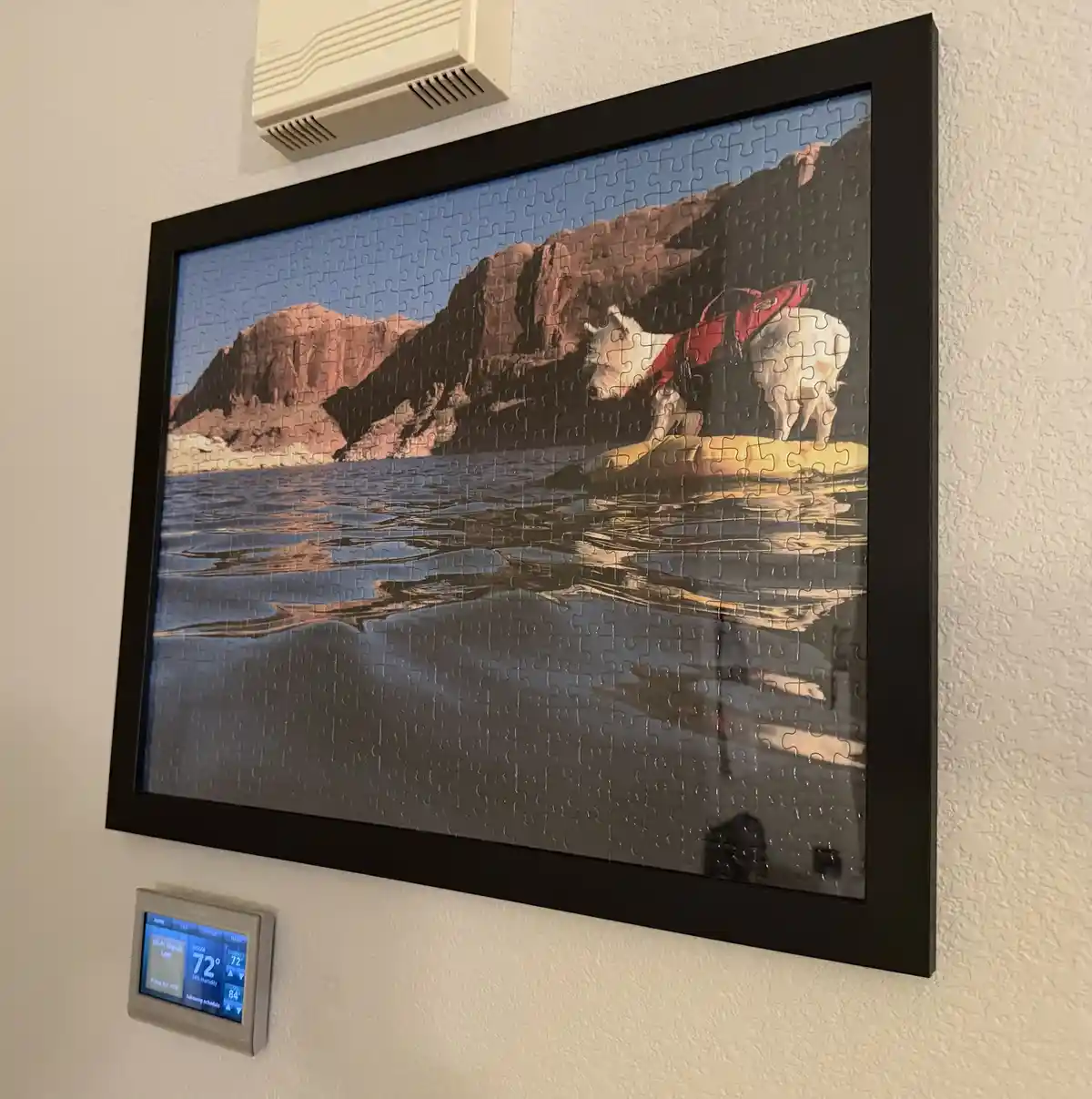 Puzzle Solved: A Little Adventure at the Lake