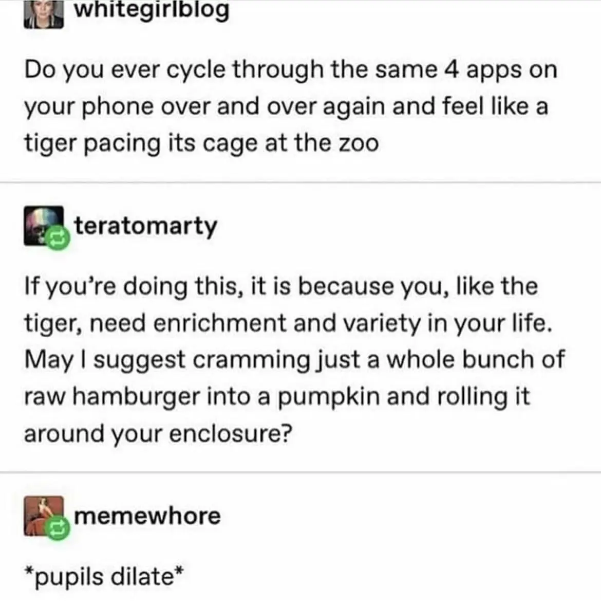 The image shows a screenshot of a social media conversation. The first user asks if people feel like a tiger pacing in a zoo…
