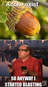 The image is split into two panels. The top panel shows a close-up of a brown acorn with its cap against a blurred green…