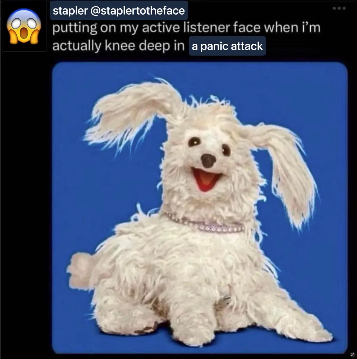 A screenshot of a social media post shows a white, fluffy, puppet-like dog with a wide, joyful smile and floppy ears against…