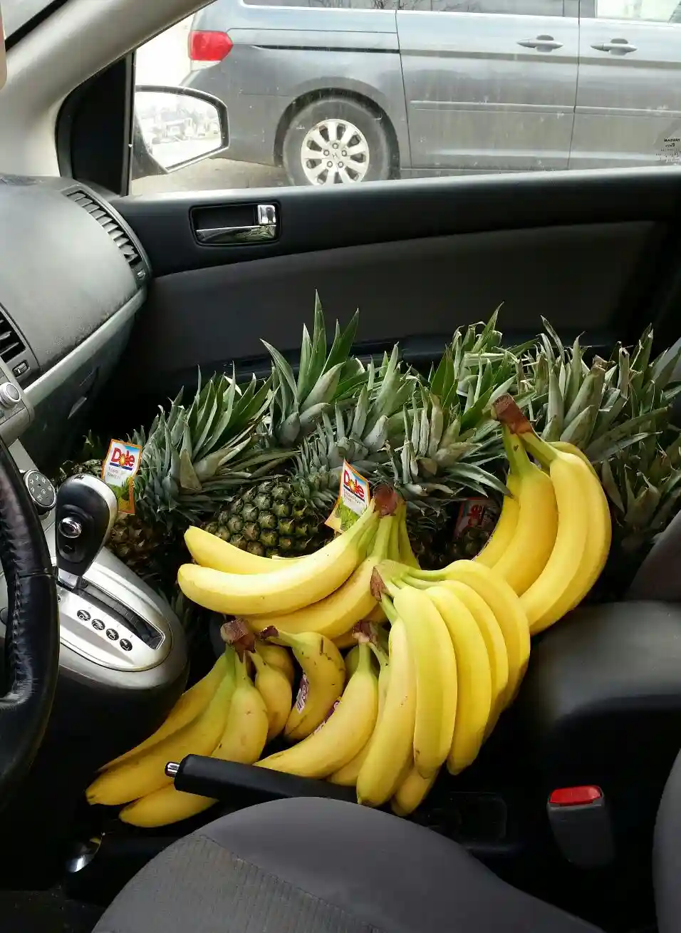 The interior of a car is filled with an excessive amount of fruit, specifically multiple bunches of yellow bananas and…