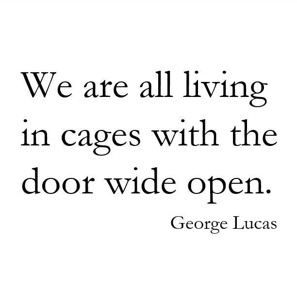 A plain white background with black serif text that reads 'We are all living in cages with the door wide open.' followed by…