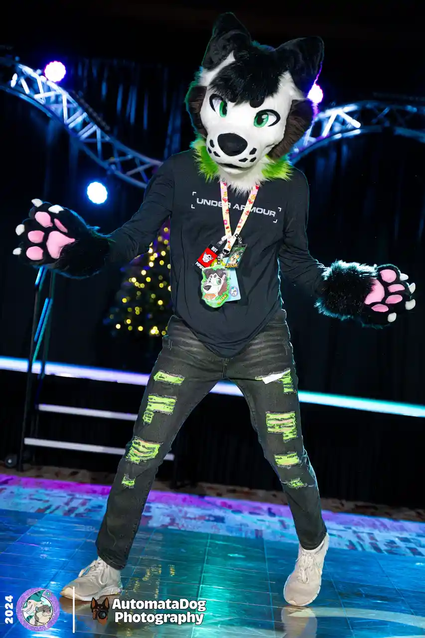 A person in a black-and-white wolf fursuit with green eyes and pink paw pads strikes a pose on a stage with colorful lights…