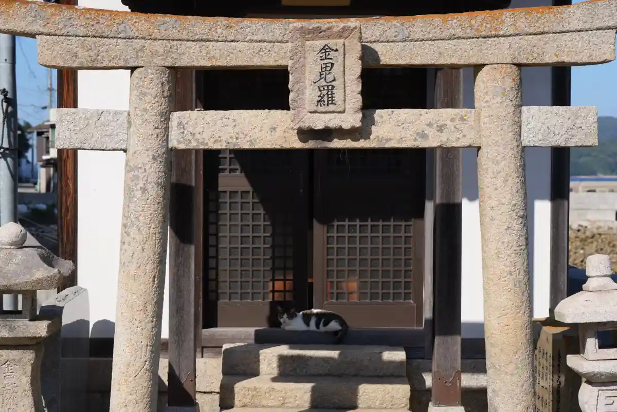 A cat lounges peacefully on the stone steps beneath a weathered Japanese torii gate, which bears the kanji characters '金毘羅'…