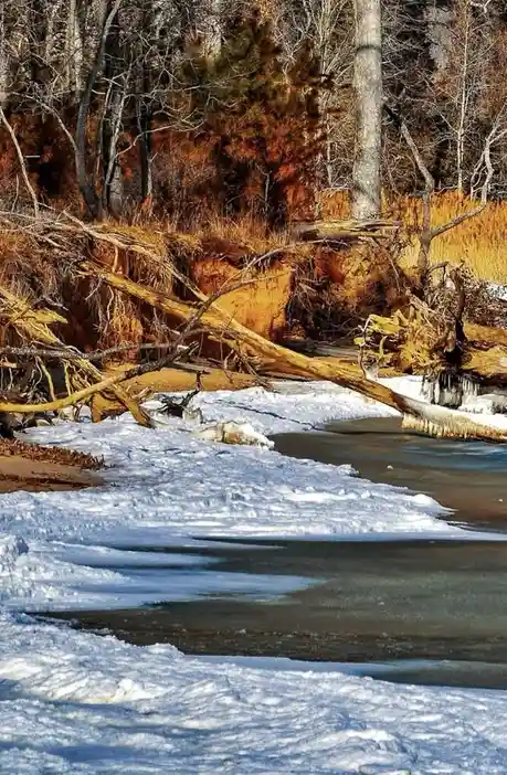 A winter scene shows a partially frozen river with snow on the banks and bare trees in the background. A large fallen tree…