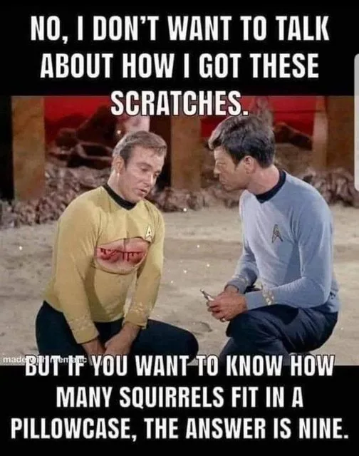 Two men in Star Trek uniforms, one in yellow with visible scratches on his chest, the other in blue holding a tricorder. The…
