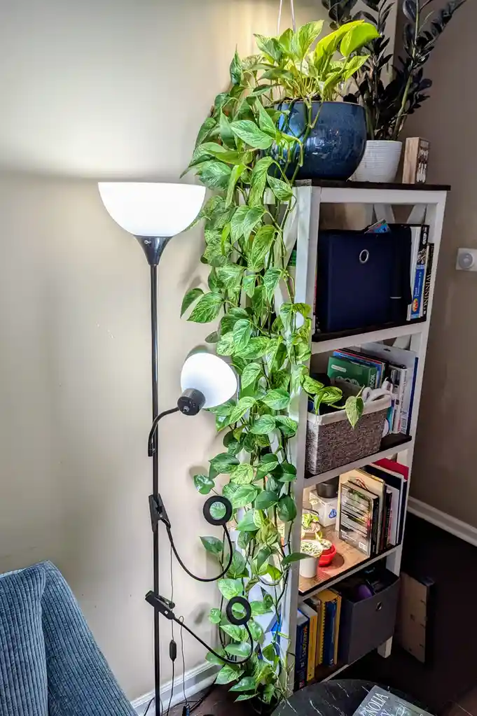 A tall floor lamp with a white bowl-shaped shade stands next to a white bookshelf filled with books and plants. A large…